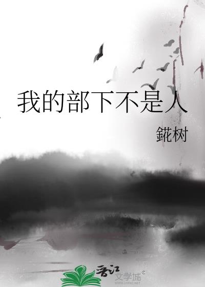 �ҵĲ��²�����